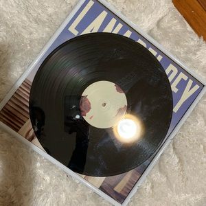 LANA DEL REY VINYL RECORD IN FRAME
